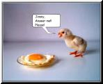 chickennegg.jpg