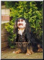 chrisdog.jpg