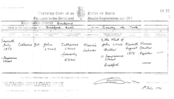 Catherine Lyons Birth